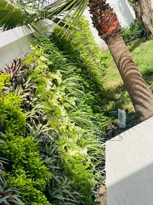 Greenwall/Vertical Garden