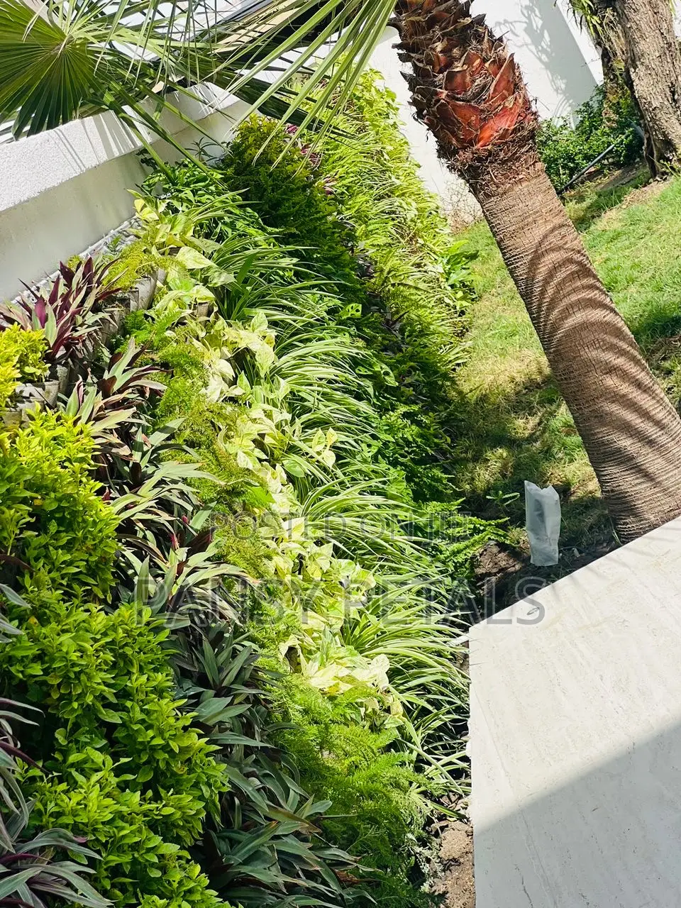 Greenwall/Vertical Garden