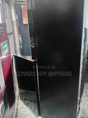 Black 243l Luxurious Beauty Family Fridge.
