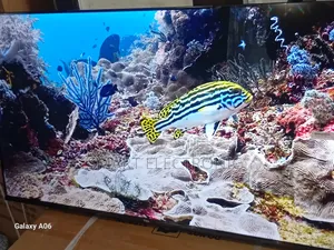 TCL 43-Inch Smart Tv – Crystal Clear Full Hd Entertainment