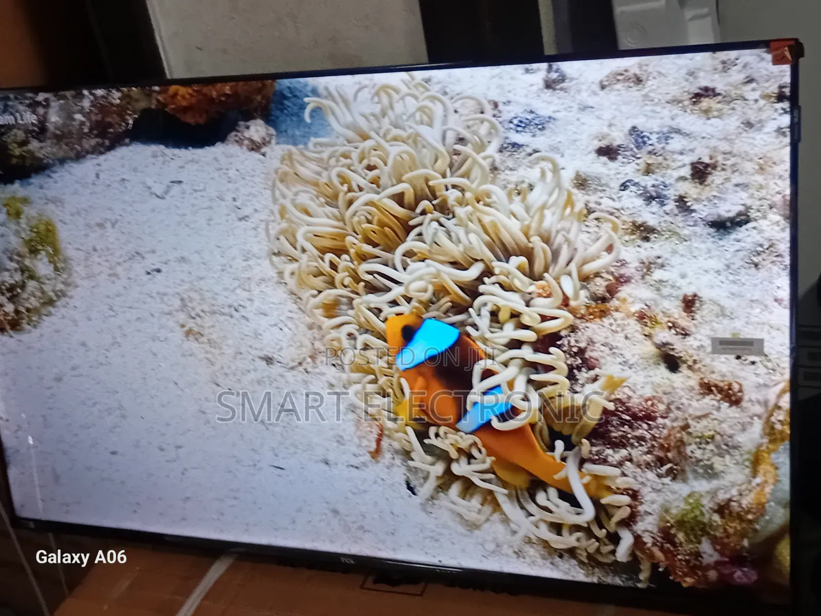 TCL 43-Inch Tv – Smart Features, Sharp Display