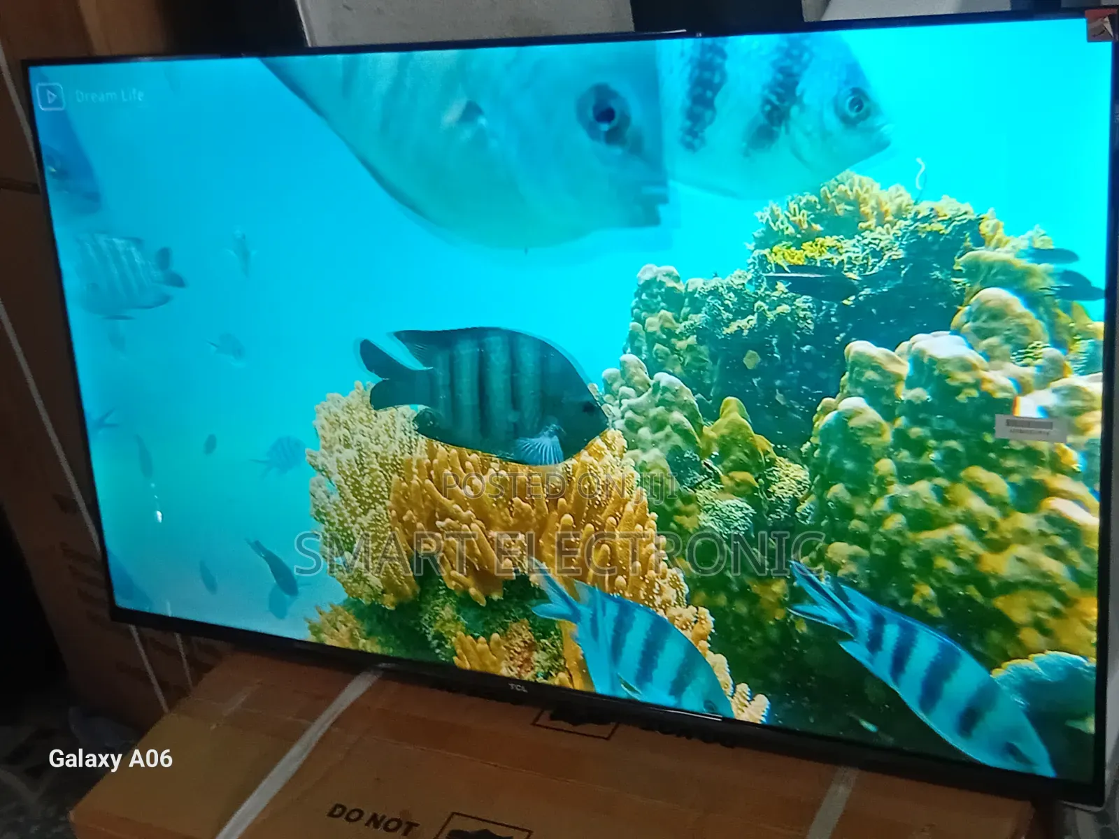 Immersive Viewing With TCL 43-Inch Smart Television