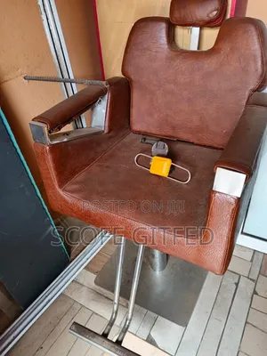 Salon Chairs