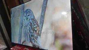 Pretty Pee Televisions 50inches Smart Asano Television