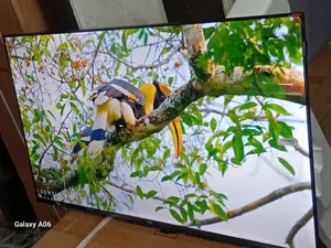 TCL 43-Inch Led Tv – Compact Size, Powerful Performance
