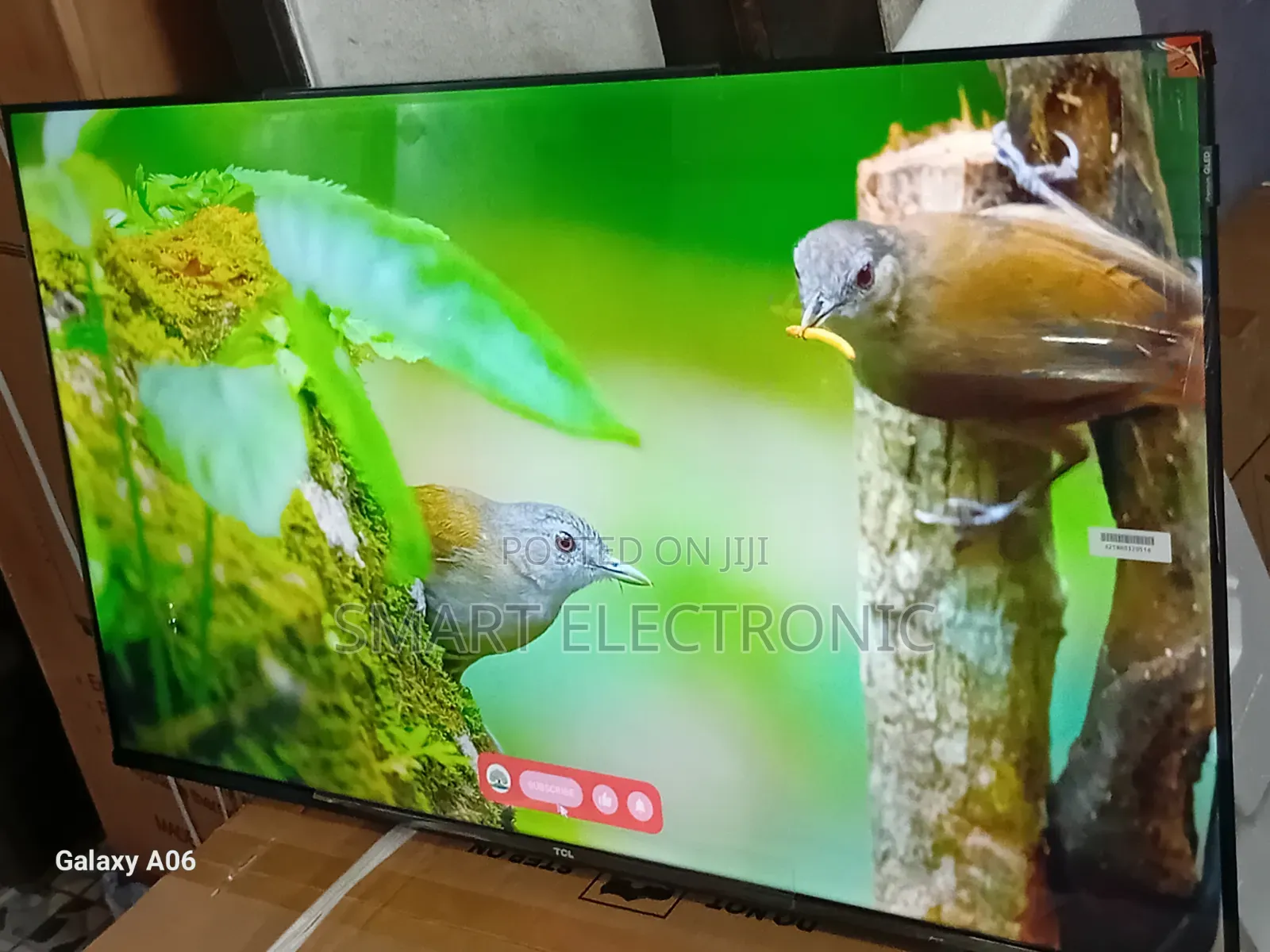 TCL 43-Inch Tv – Designed for Modern Homes