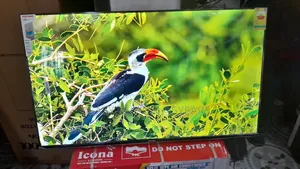 Crystal-Clear Moments on Ansano 50” Screen