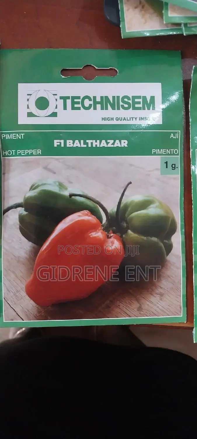 Vegetable Seeds