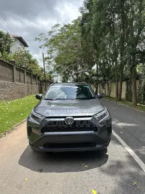 Toyota RAV4 XLE 2022 Gray