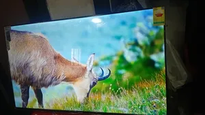 Big Screen Televisions 50inches Smart Asano Television
