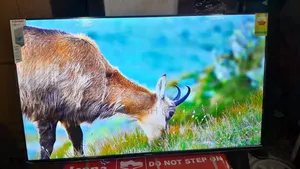Feel Every Scene With Ansano 50” Display