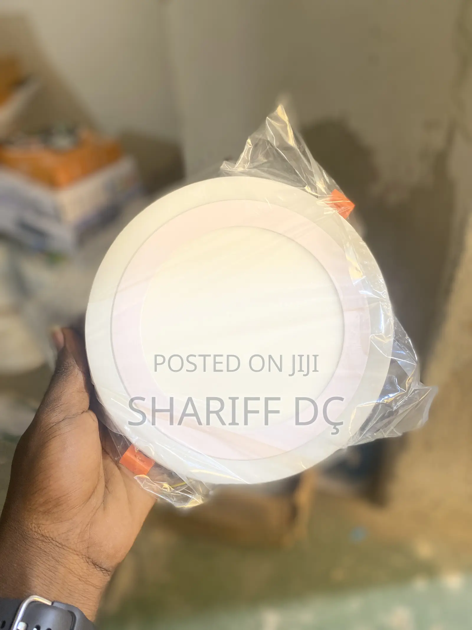 Sportlight 12+4w