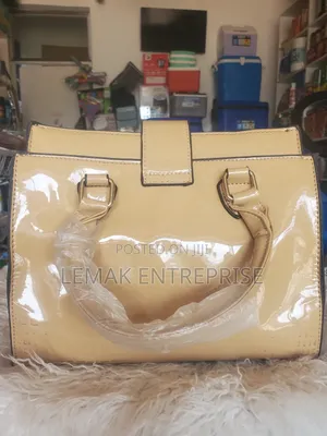 Ladies Handbags Sleek Chic Casua