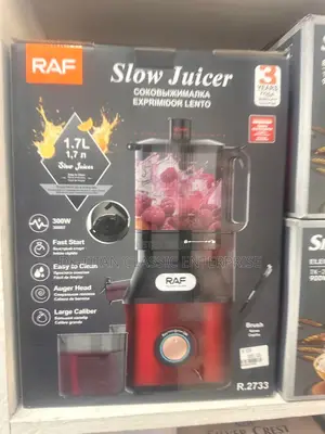 Quality Large Mouth Raf Multifunctional Slow Juicer