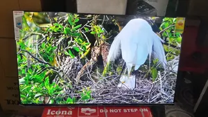 The Smart Choice for Big Screens – Ansano 50”