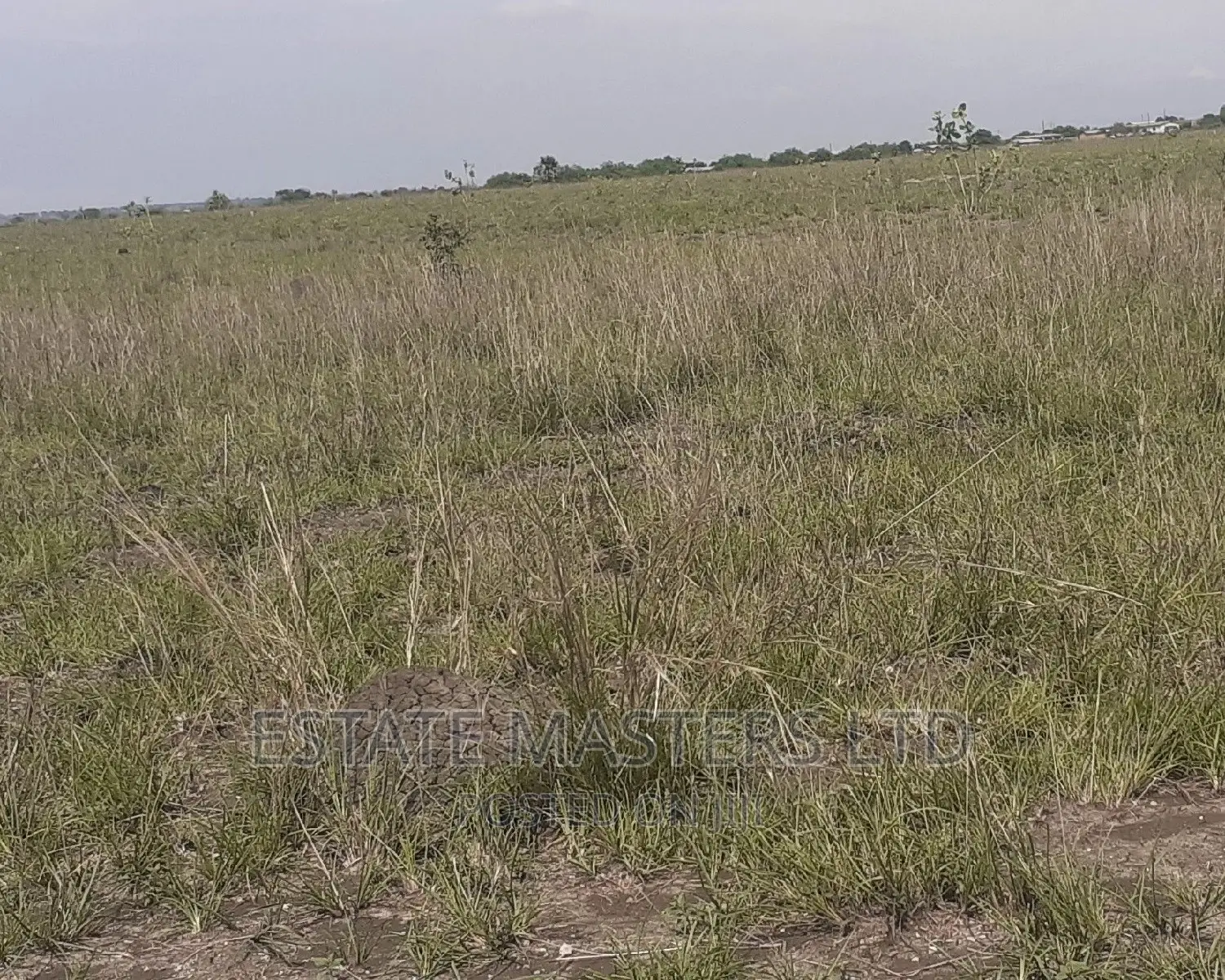 Plots in Tsopoli for Sale