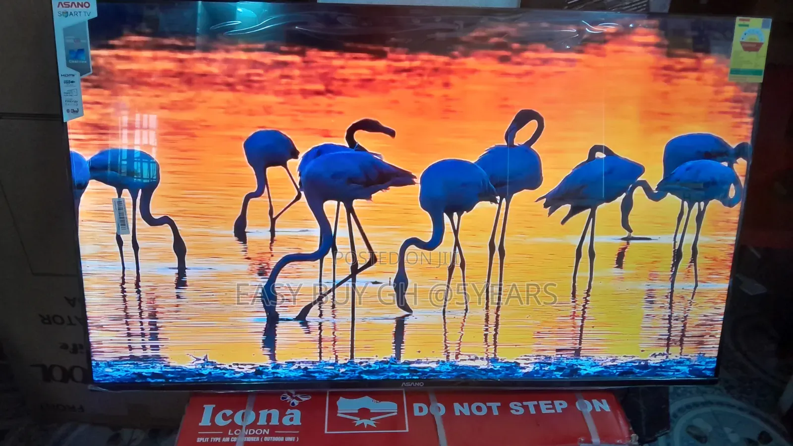 Asano 50” Tv – Where Style Meets Stunning Clarity