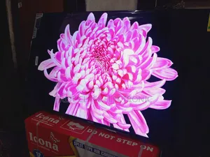 Asano 50 Smart Tv Strong Tone, Tv That Feels Bold