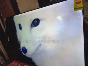 Asano 50 Smart Tv Bright Presence, Tv That Owns Room