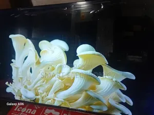 Asano 50" Smart Tv – High Definition Meets Smart Technology