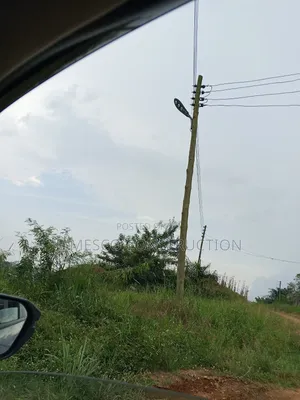 Mango and Coconut Farms for Sale