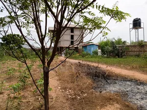 First-Class Lands - Prime Location