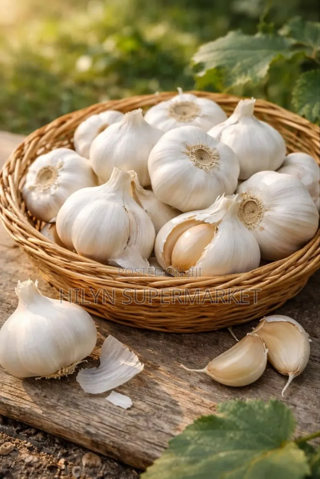 Garlic Bulbs