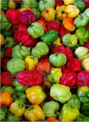 Fresh Habanero Pepper (Kpakpo Shito)