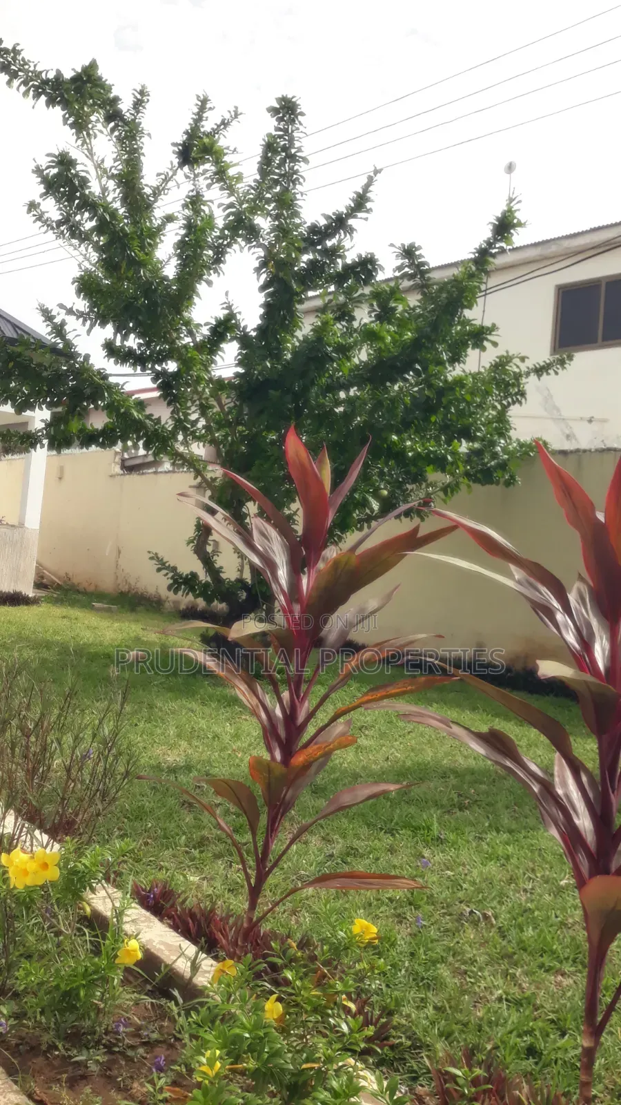 5bdrm House in Accra Metropolitan for rent