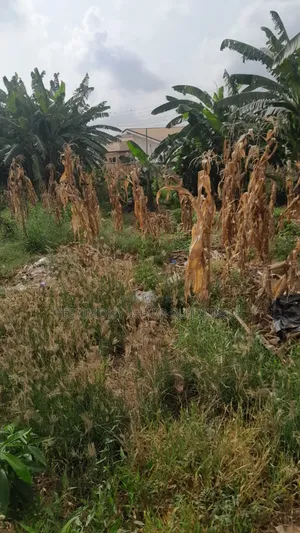 A Plot of Land for Sale at New Legon