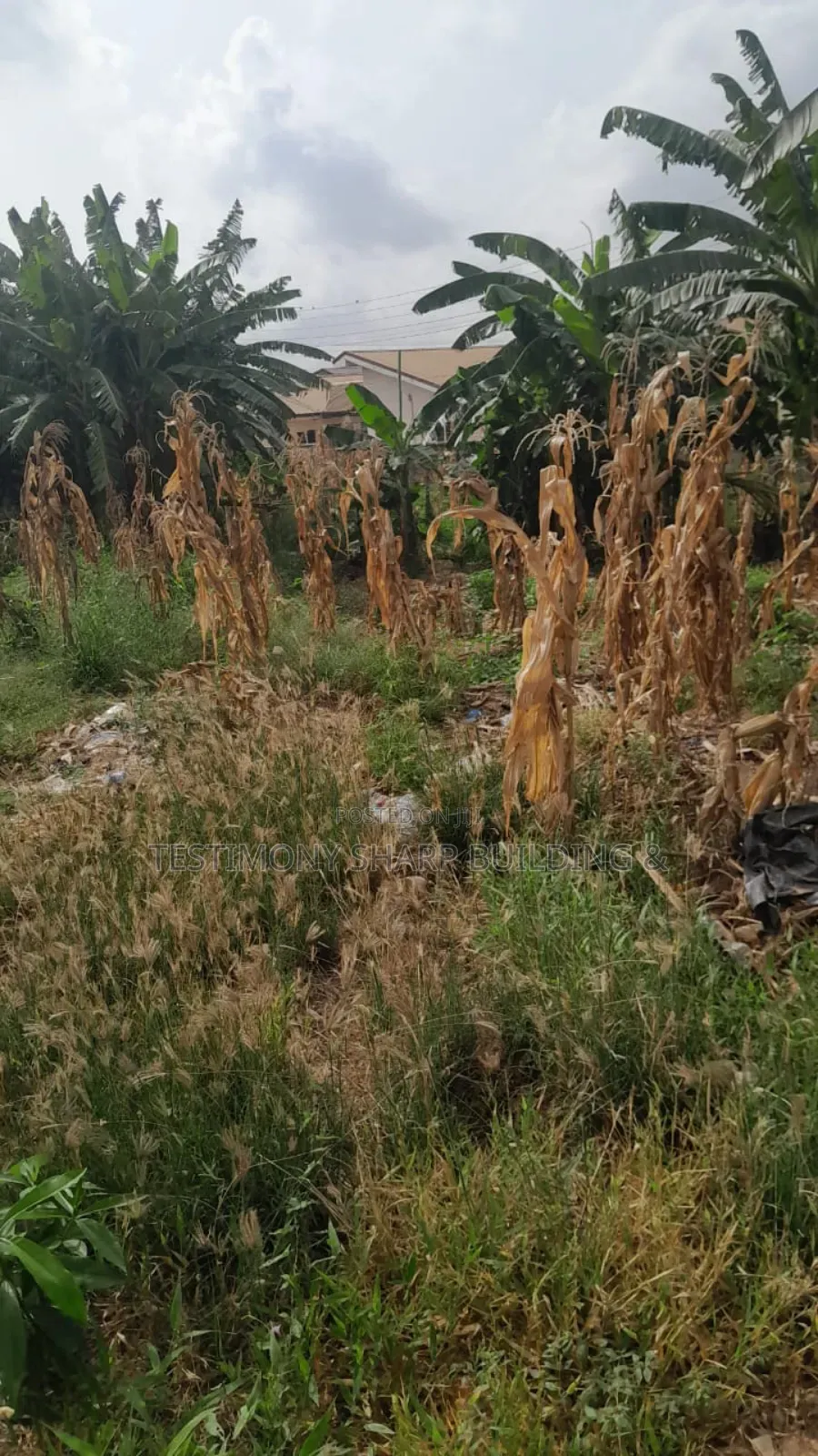 A Plot of Land for Sale at New Legon