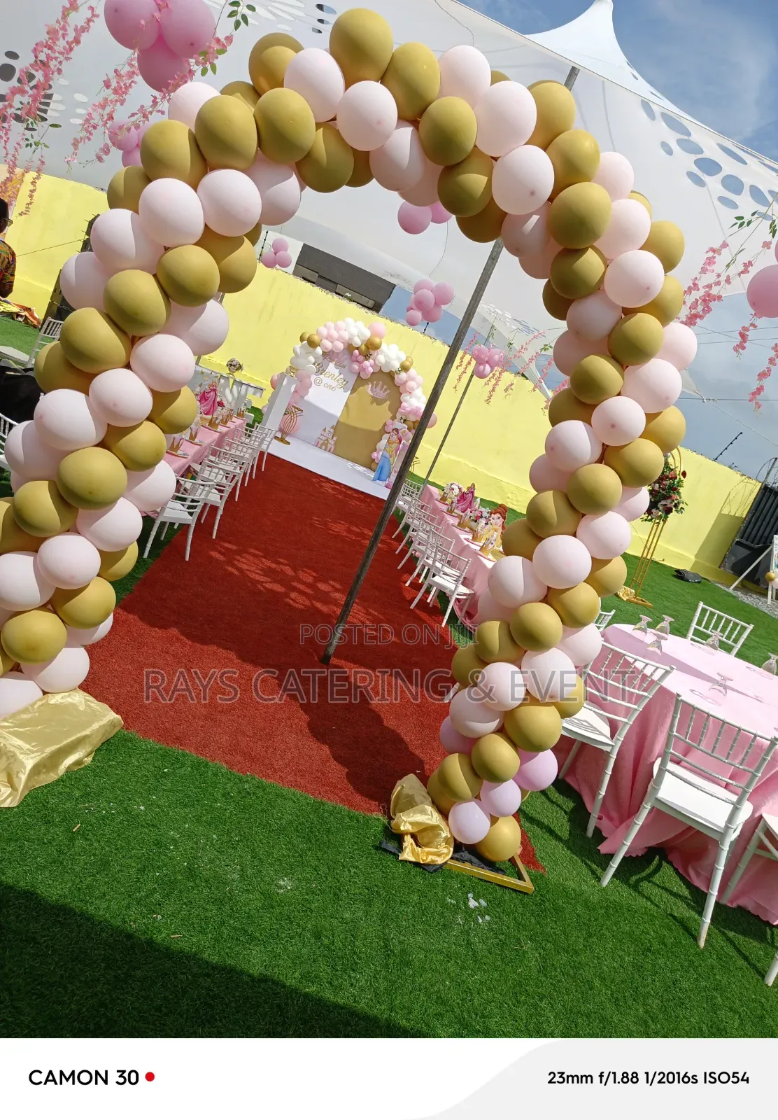 Cartoon Themed Decor for Kids