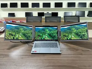 Double Portable Monitor