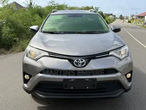 Toyota RAV4 XLE AWD (2.5L 4cyl 6A) 2016 Silver