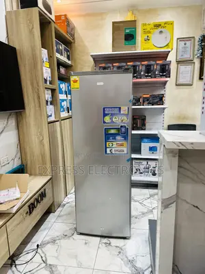 High Quality Sleek Grey Upright Single Door Freezer Nasd1-33