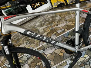 Giant Roam Series Hybrid Bicycle