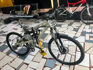 Rockrider Mountain Bike