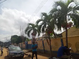 Hot Sale – Prime Old School Complex for Sale
