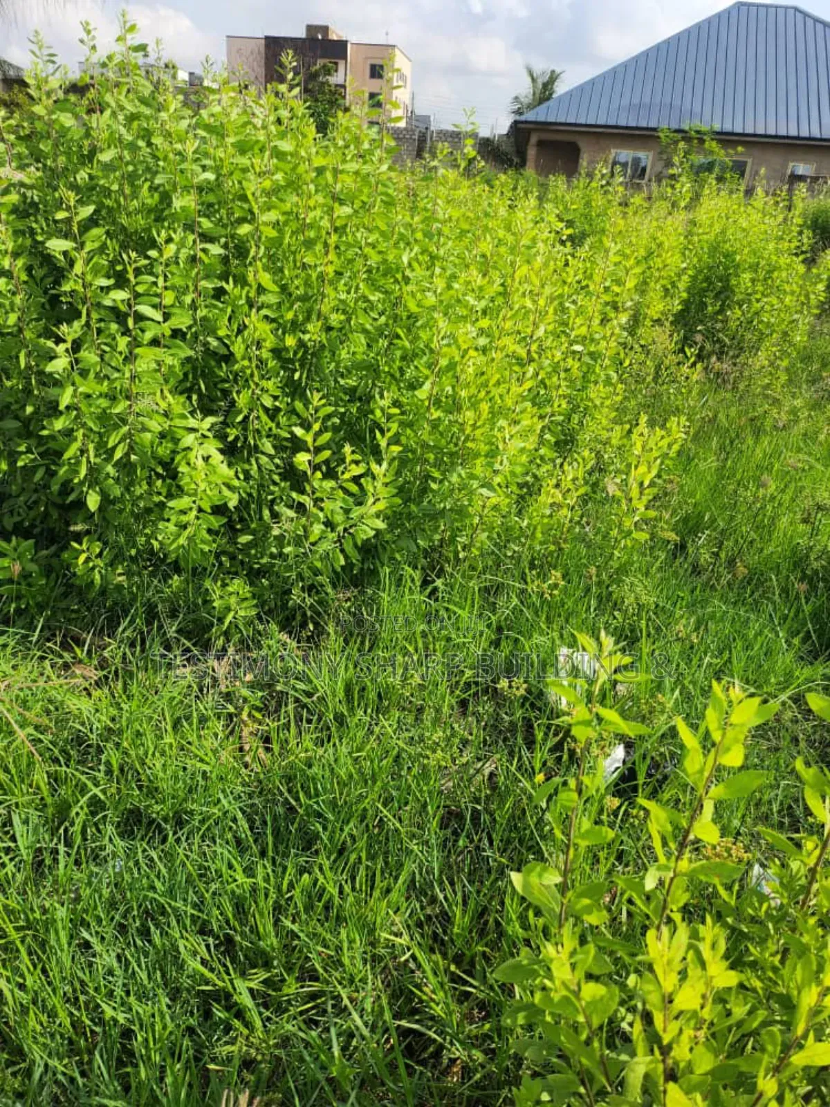 Land for Sale at Lakeside Estates
