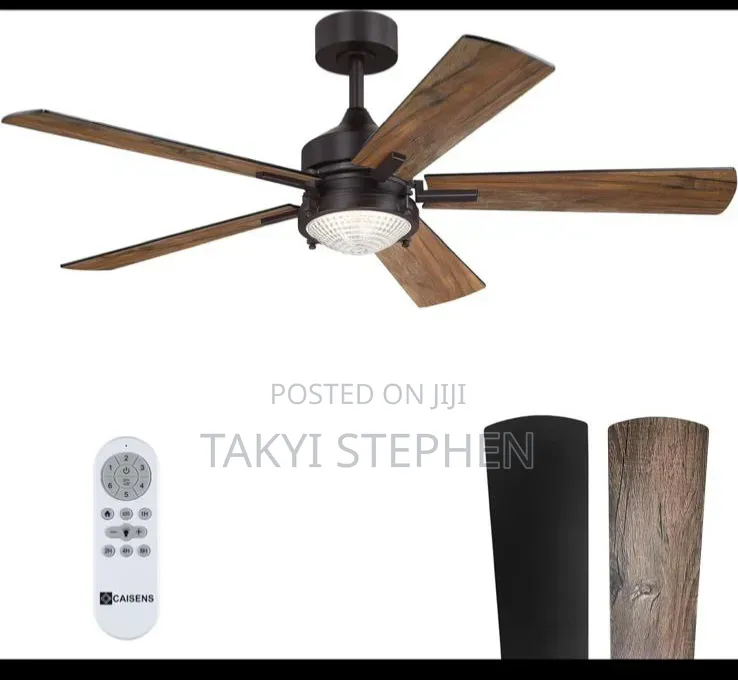 Volisun Ceiling Fan)