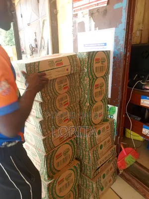 Indomie Noodles All Sizes and Packages
