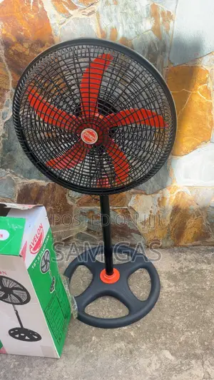 Avelon 18 Inch Standing Fan