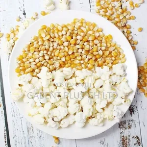 Popcorn Maize