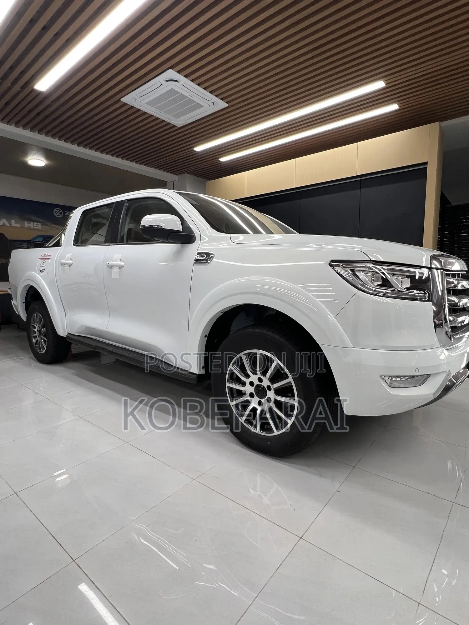 New Great Wall King Kong Poer 2025 White