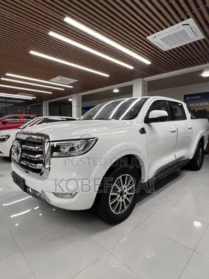 New Great Wall King Kong Poer 2025 White