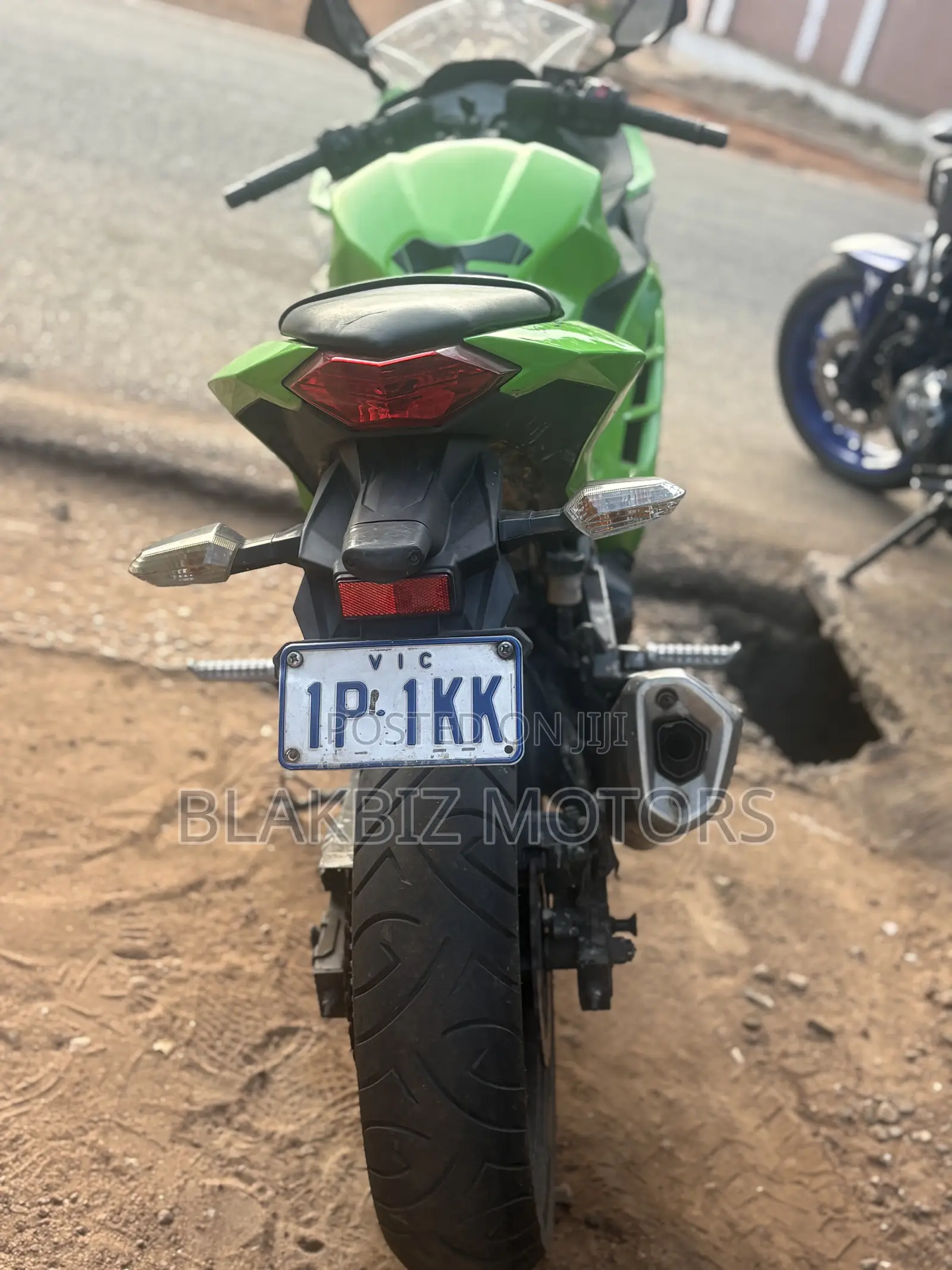 Kawasaki Ninja 300 2013 Green