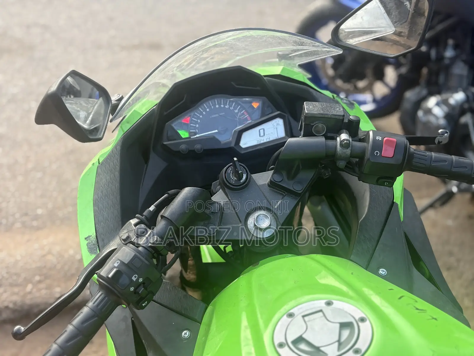 Kawasaki Ninja 300 2013 Green