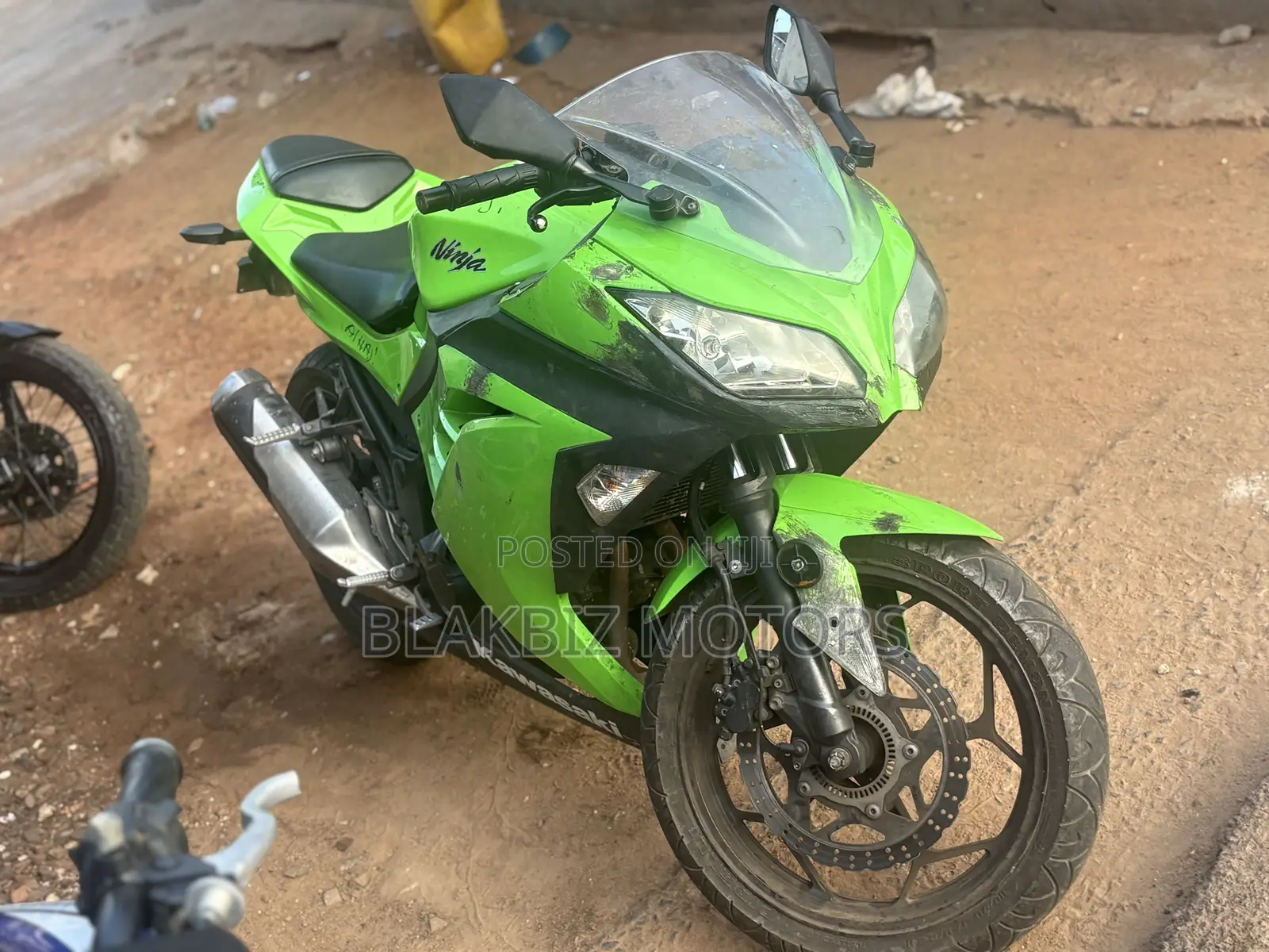 Kawasaki Ninja 300 2013 Green