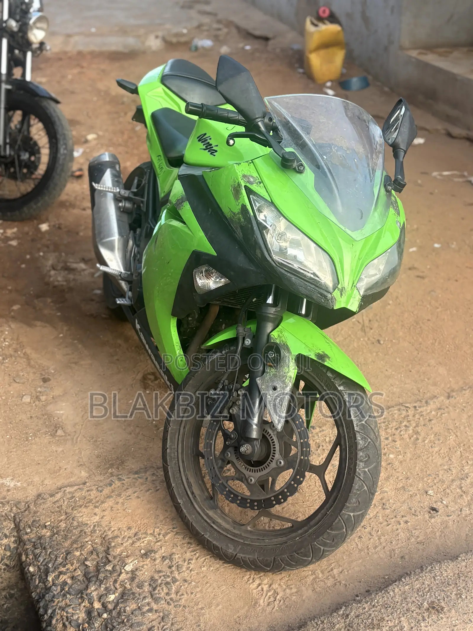 Kawasaki Ninja 300 2013 Green