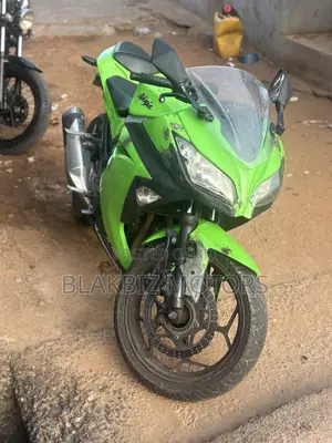Kawasaki Ninja 300 2013 Green